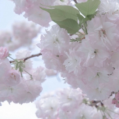 Furry角色性格塑造技巧Furry群